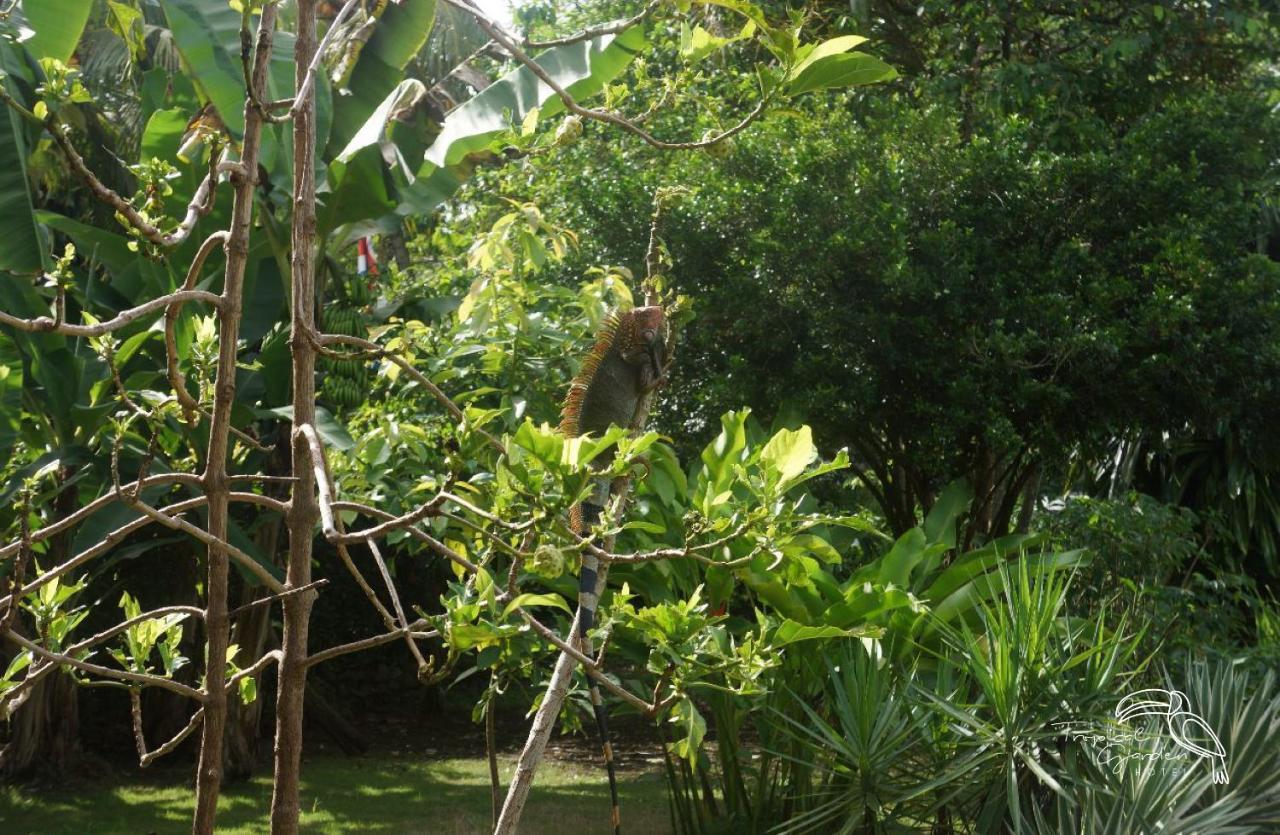 Tropical Garden Hotel Хако Экстерьер фото